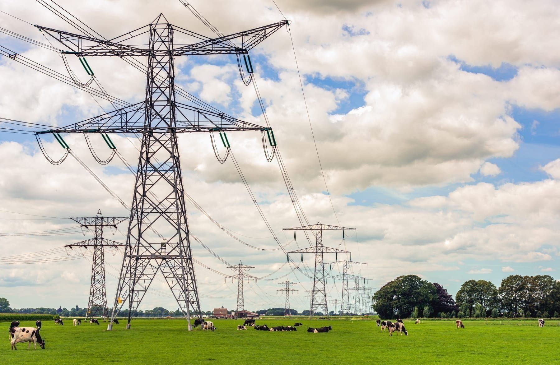 Elektriciteitsmasten boven een weiland