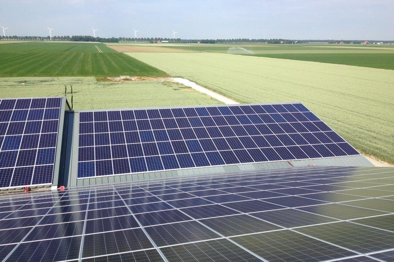 Zonnepanelen in een Nederlands weilandlandschap