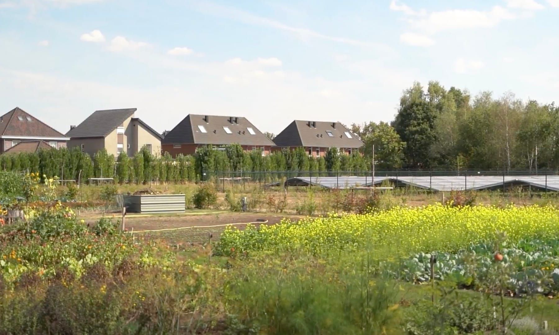 Zicht op het zonnepark met de bebouwing van Someren-Heide erachter